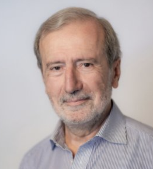 Luigi Rizzi